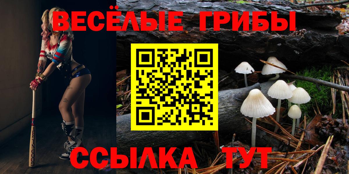 Апшеронск  Псилоцибиновые грибы Psilocybe  купить  сайты  Вход с VPN 